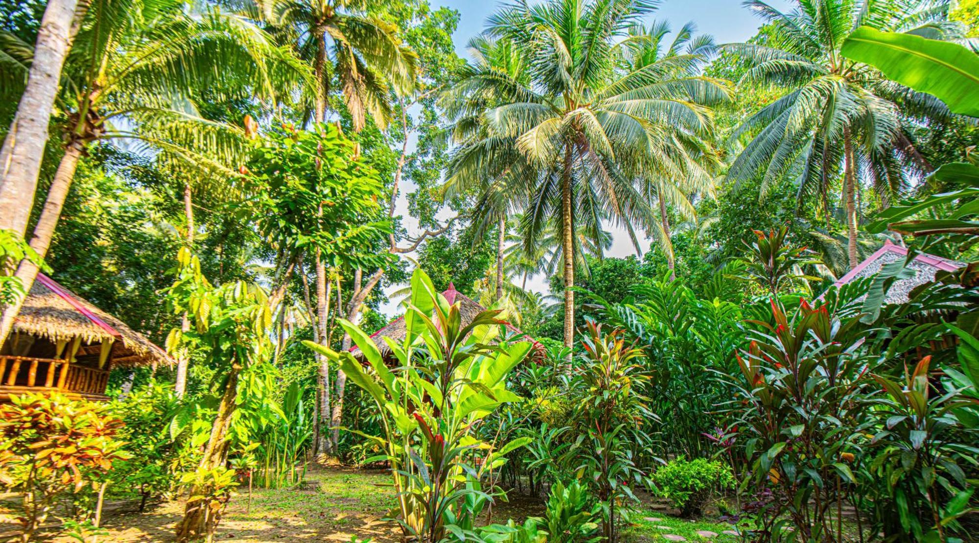 Water To Forest Ecolodge โลบก ภายนอก รูปภาพ